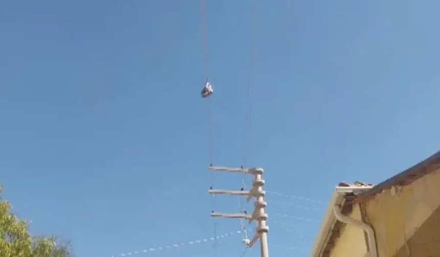 Eskişehir’de sokaktaki gizem çözülemiyor! Elektrik tellerindeki botlar yıllardır orada