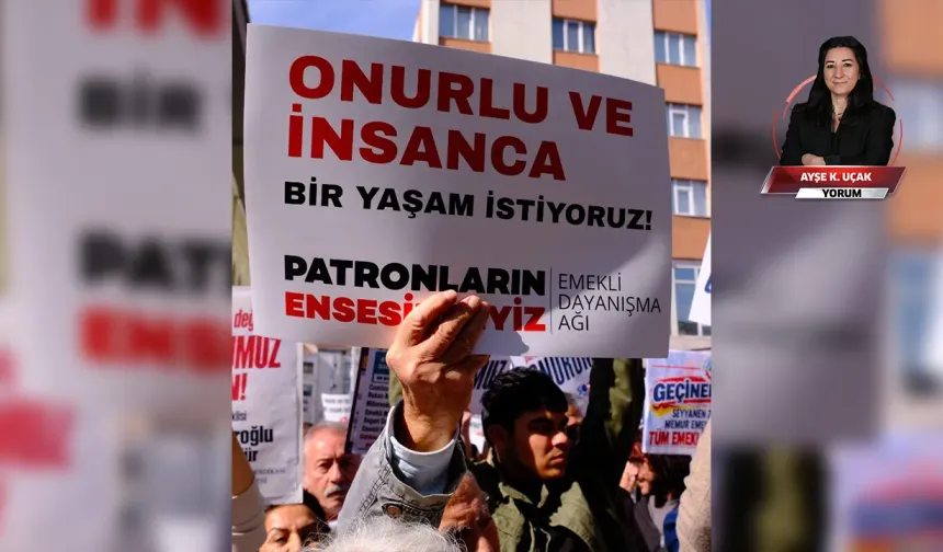 Fonzadeler ve AK Parti-zedeler!