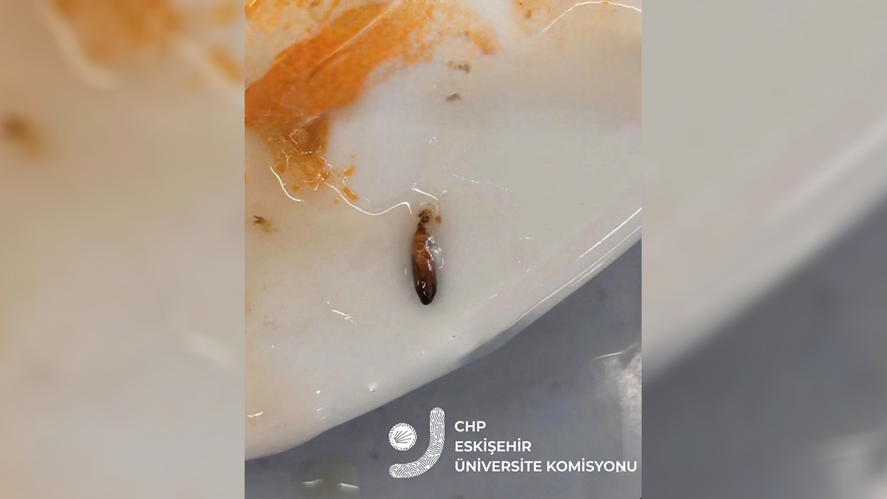 Anadolu Üniversitesi Yemekhanesi'nde Skandal