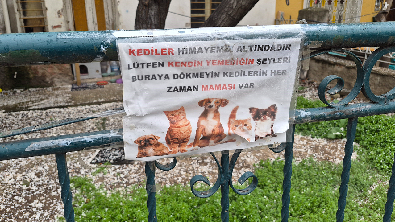 Eskişehir'de Hayvanseverlerin Uyarısı Dikkat Çekti