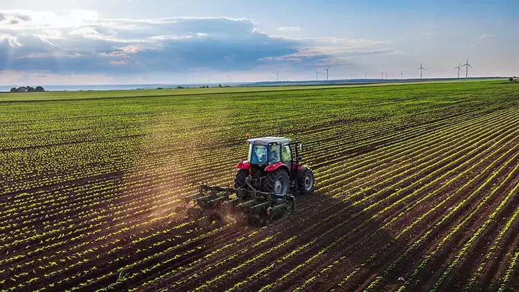 Tarladaki̇ Kri̇z Sofraya Yansiyacak