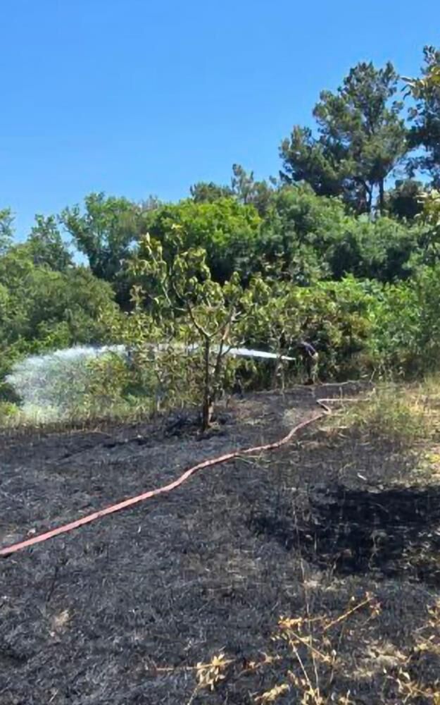 Bahçede Çöp Yaktı, 4 Dönümlük Alanı Küle Çevirdi1
