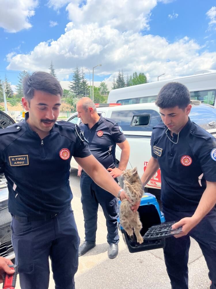 Motor Bölümüne Kedi Sıkıştı Kurtarıcısı Eskişehir Itfaiye Ekibi Oldu1
