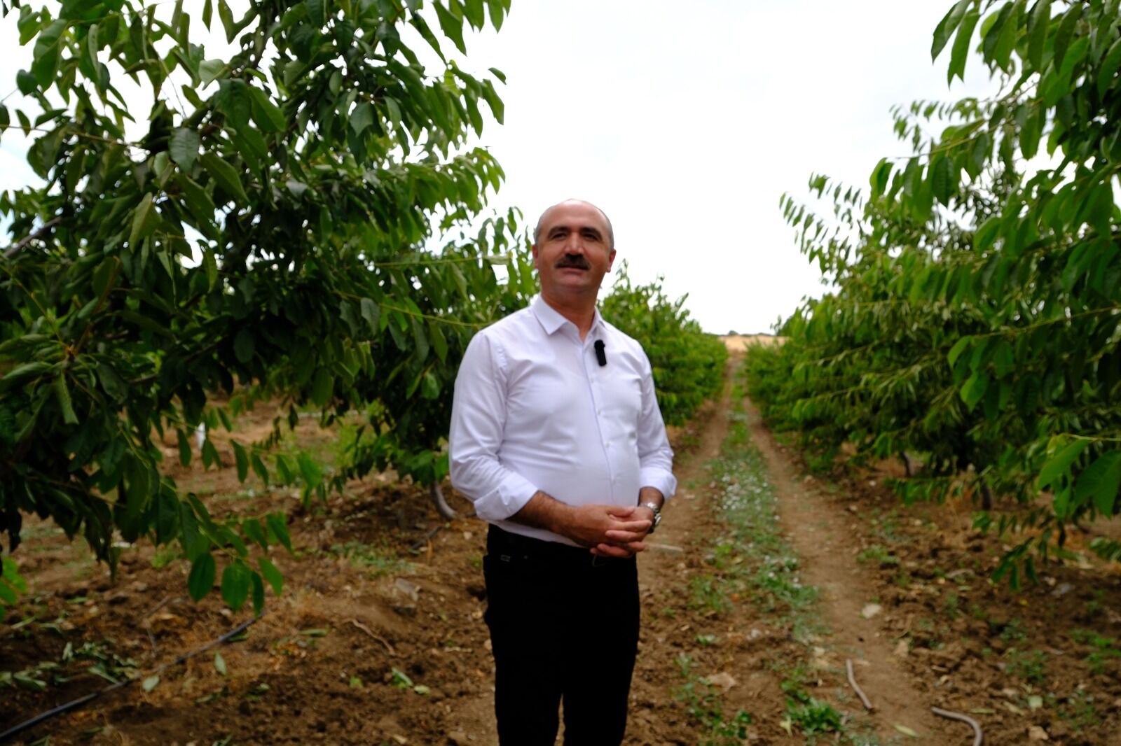 Baykan Kiraz