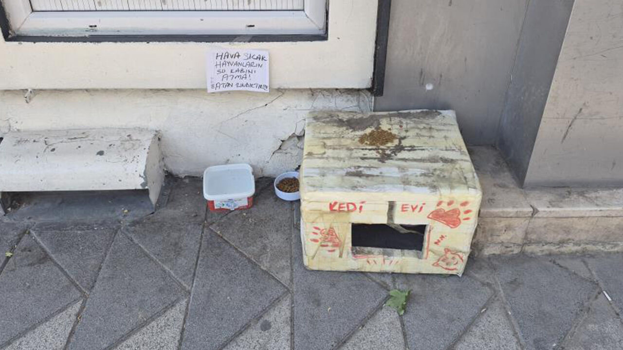 Eskişehir'de Hayvanseverden Sokak Hayvanları Için Dikkat Çeken Uyarı3