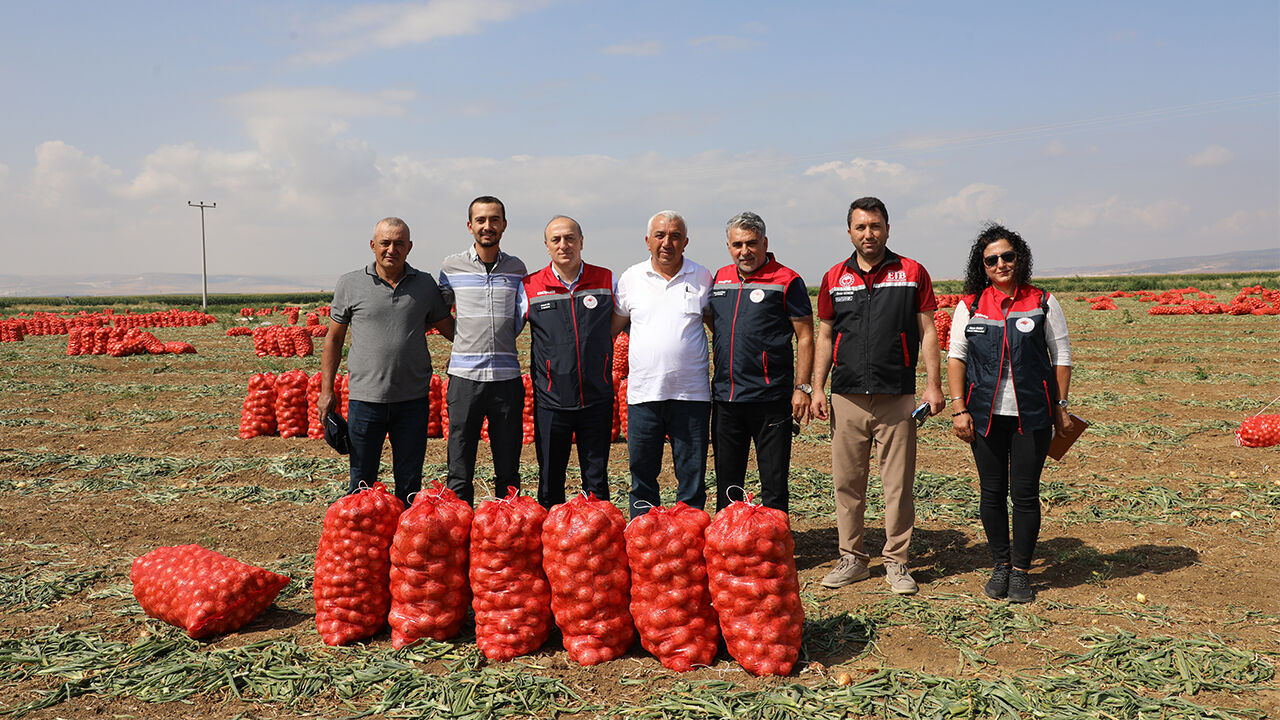 Eskişehir'de soğan hasadı hız kesmeden devam ediyor