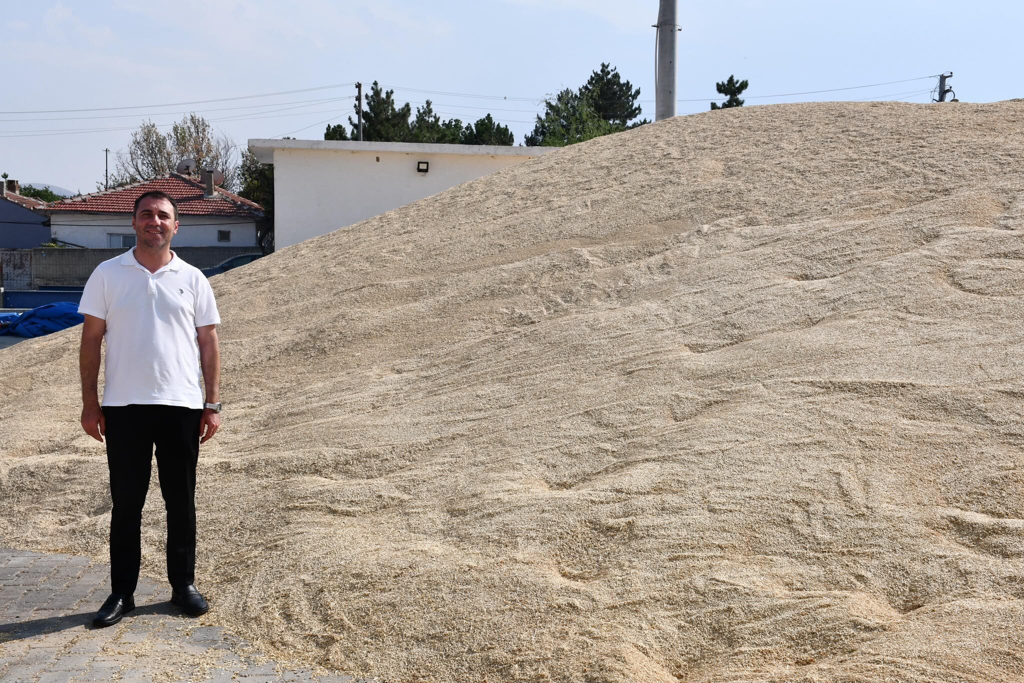 Eskişehir'de 11 milyon liralık hasat!