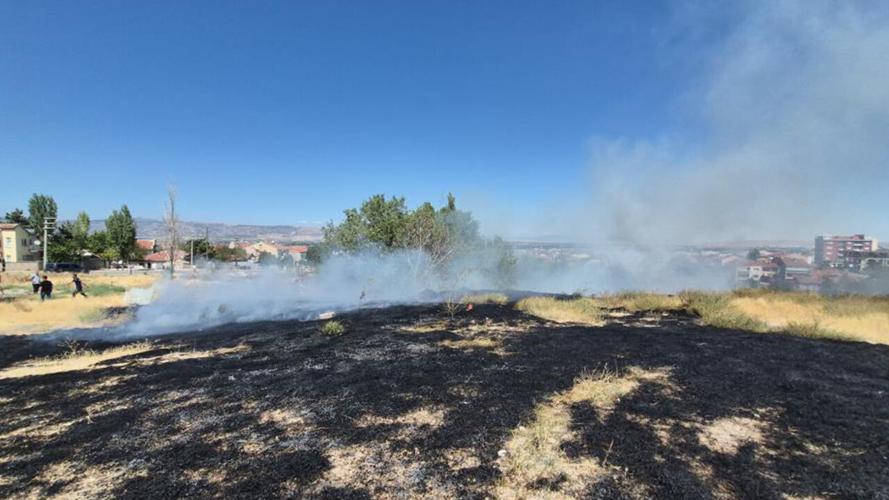 Eskişehir’de Otluk Alanda Çıkan Yangın Paniğe Neden Oldu-1