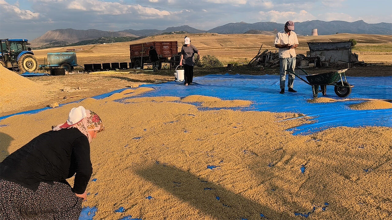 Eskişehir’de Üniversite Eğitimi Alıyorlar, Yaz Tatilinde Aileleriyle Birlikte Üretiyorlar3