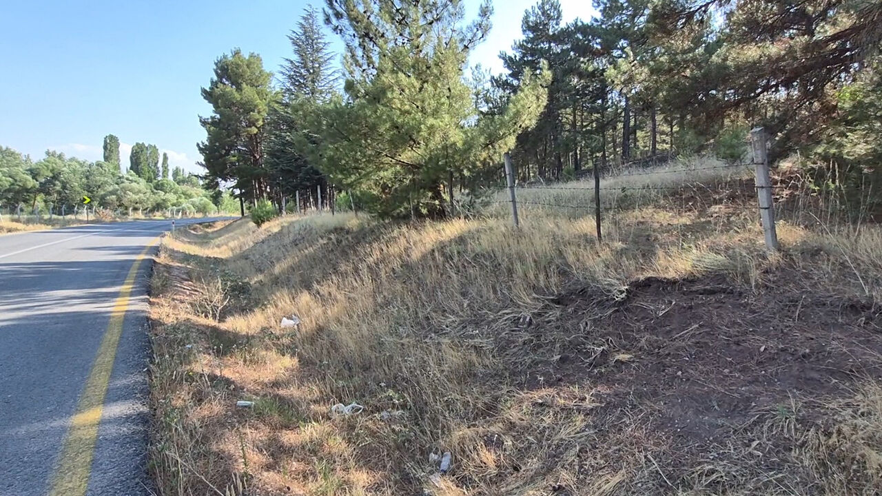 Eskişehir’de Yangın Riski Büyüyor “En Küçük Kıvılcımda Alev Alabilir”2