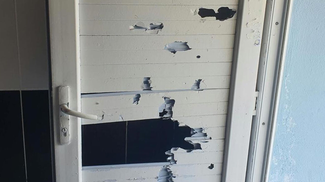 Eskişehir'deki Tepebaşı Doğal Yaşam Parkı’nda Tepki Çeken Görüntüler-1