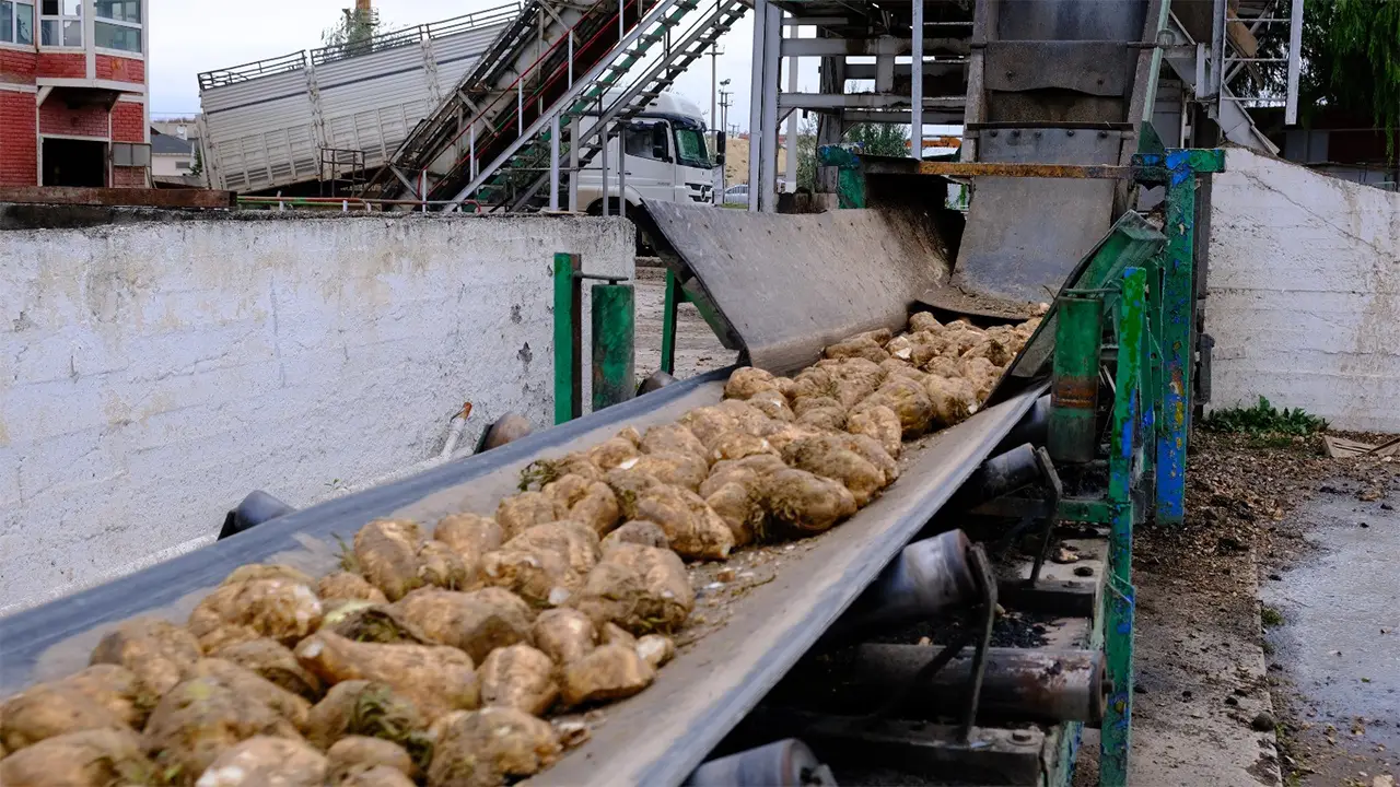 Eskişehir Şeker Fabrikası Önünde Eylem “Fark Yoksa Pancar Da Yok” Istikbalgazetesi