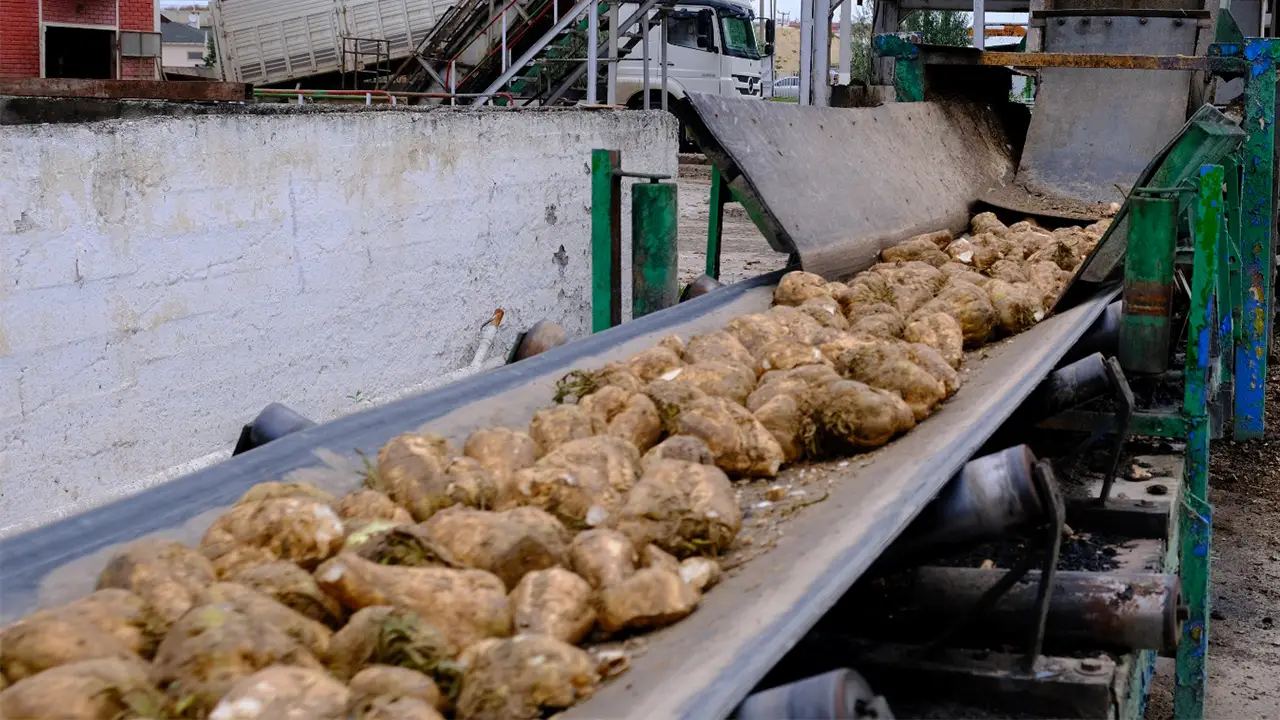 Eskişehir Şeker Fabrikası Için Kritik Uyarı Bir Gün Durması 10 Milyon Lira Zarar Demek Istikbalgazetesi