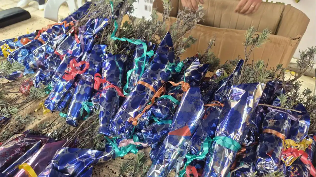 Eskişehir Vilayet Meydanı’nda Cumhuriyet Bayramı Sürprizi! Bin 103 Fidan Dağıtıldı Istikbalgazetesi-1