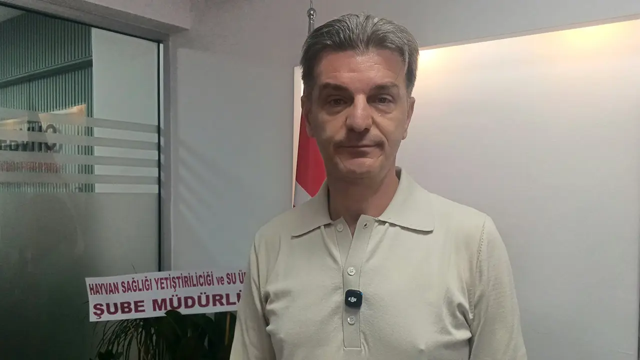 Eskişehir’de Şap Tehlikesi Var Mı 60 Bin Büyükbaş Aşılandı2 Istikbalgazetesi