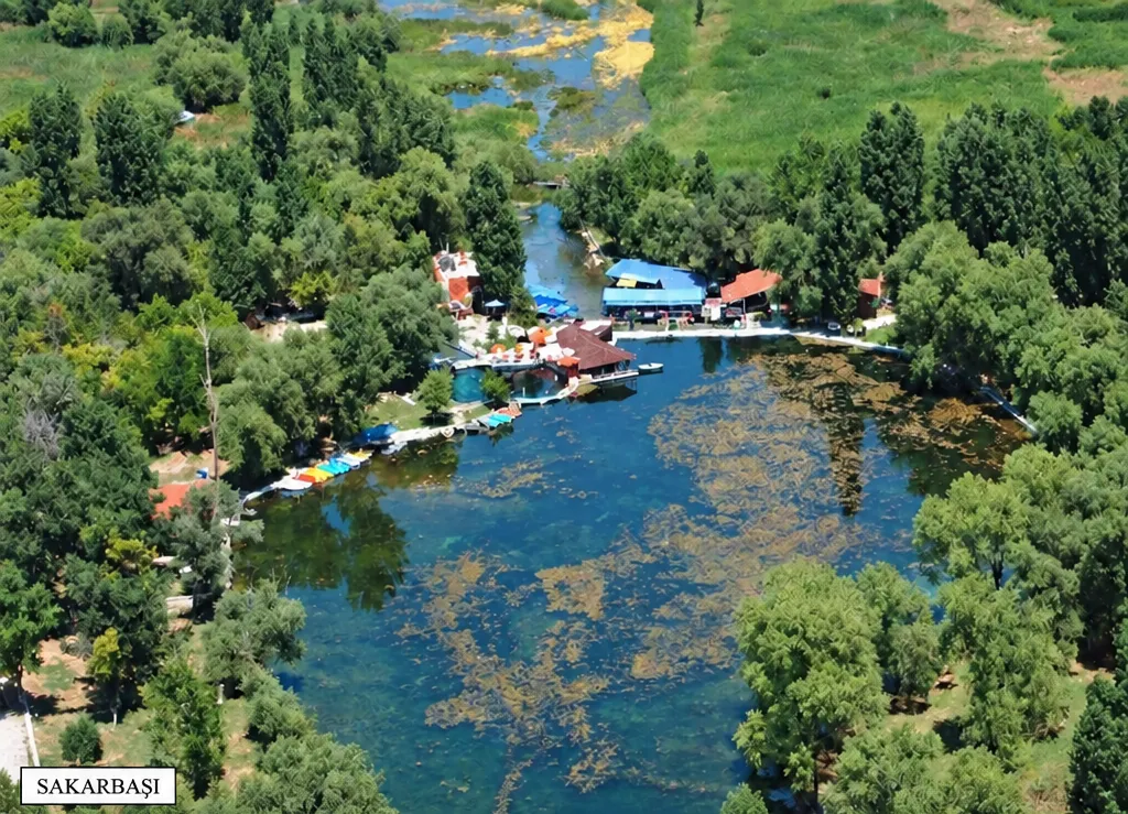 Sakarbaşı